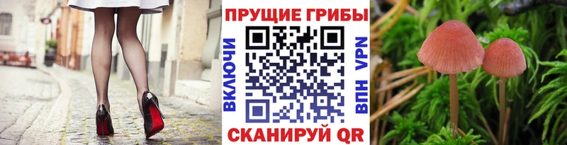 Галлюциногенные грибы мухоморы  закладки  Первомайск 